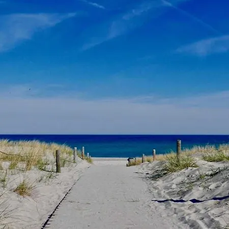 Villastrandeins Stella * Rerik