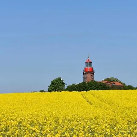 Villastrandeins Stella * Rerik